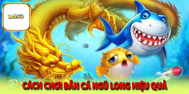 Cách chơi bắn cá ngũ long hiệu quả