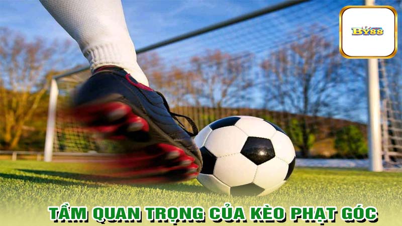 Tầm quan trọng của kèo phạt góc